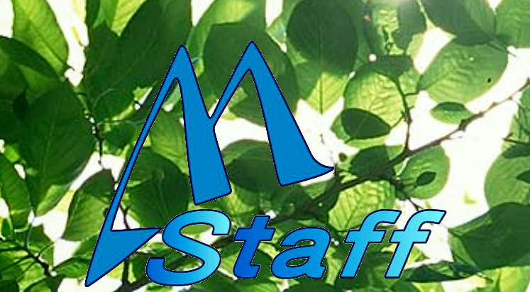 MSTAFF
